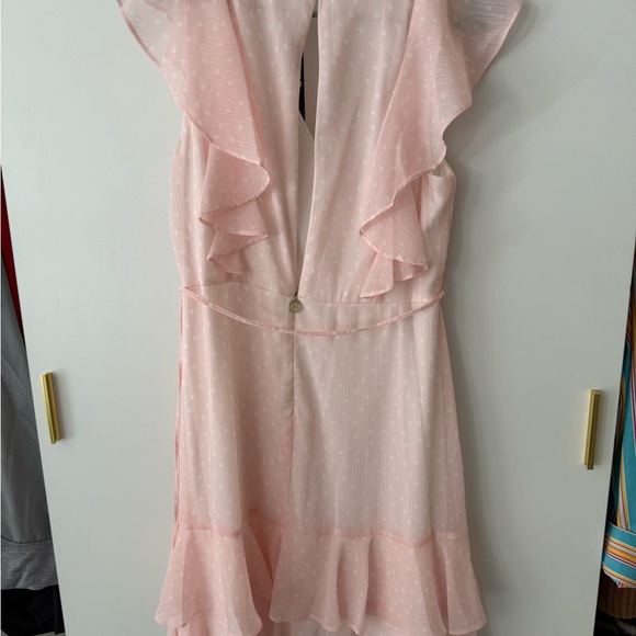 Tommy Hilfiger Light Pink Ruffle Mini Dress - Picture 7 of 7